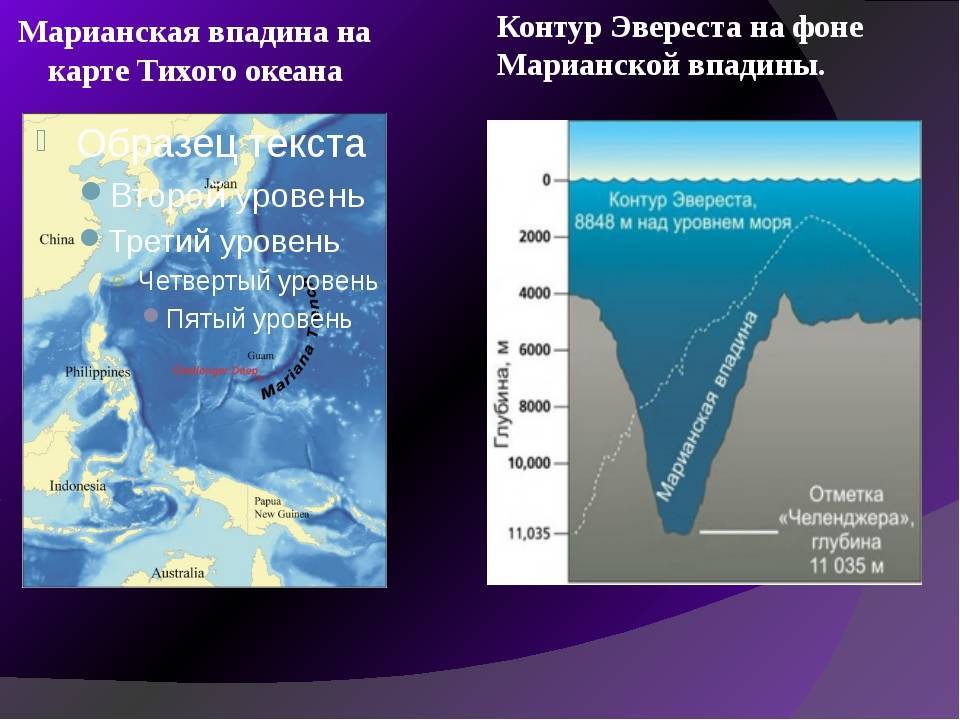 Урок 9: океаны земли - 100urokov.ru