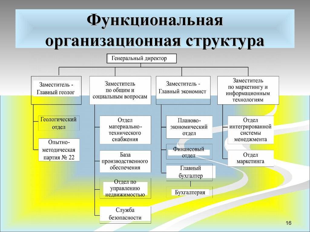 Как выглядит организационная структура управления
