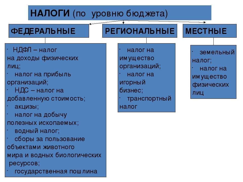 Что входит в налоги и сборы