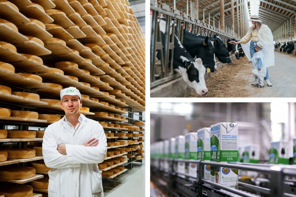 Разведение коров, как бизнес: рентабельность, плюсы и минусы, базовые вложения и секрет успеха
