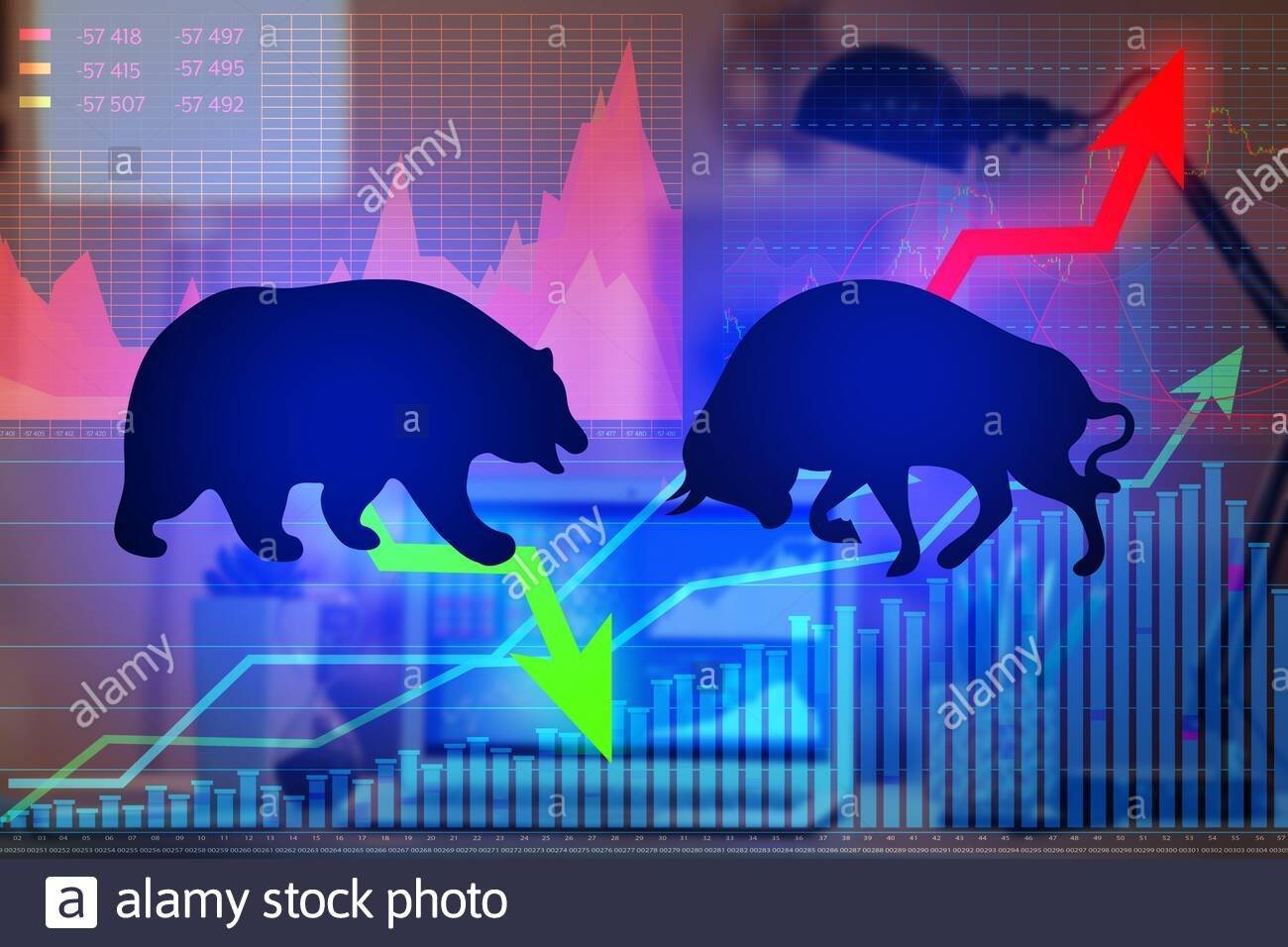 Кто такие быки и медведи на бирже и в чем разница между ними