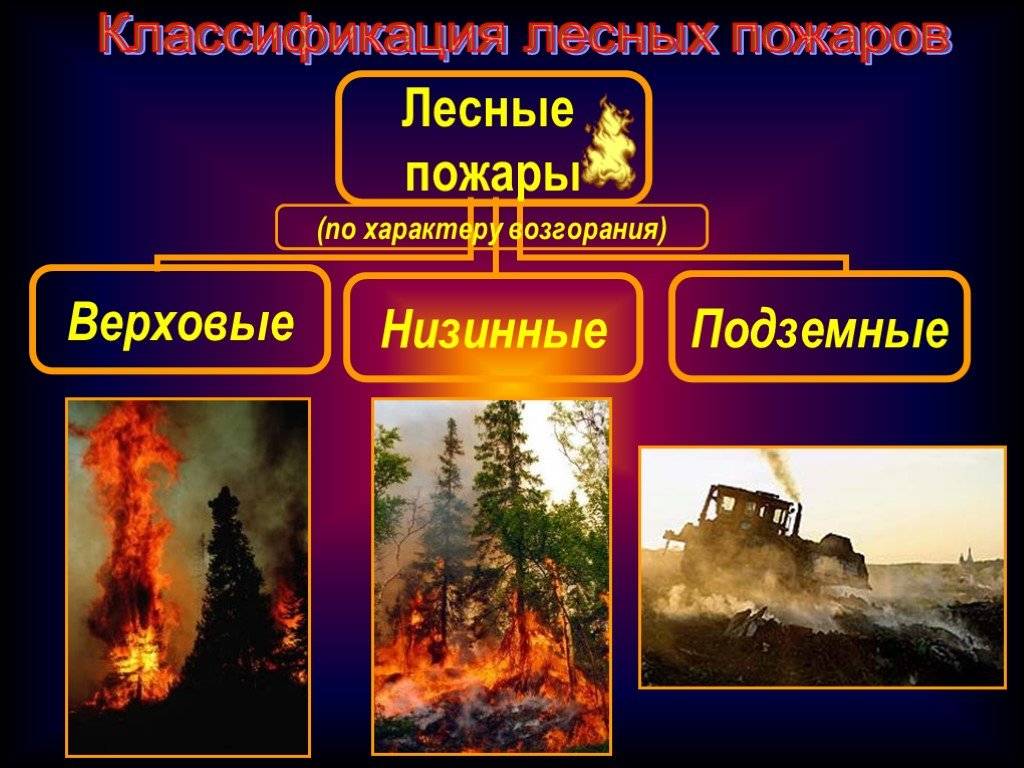 Лесные пожары. причины, виды, последствия, тушения