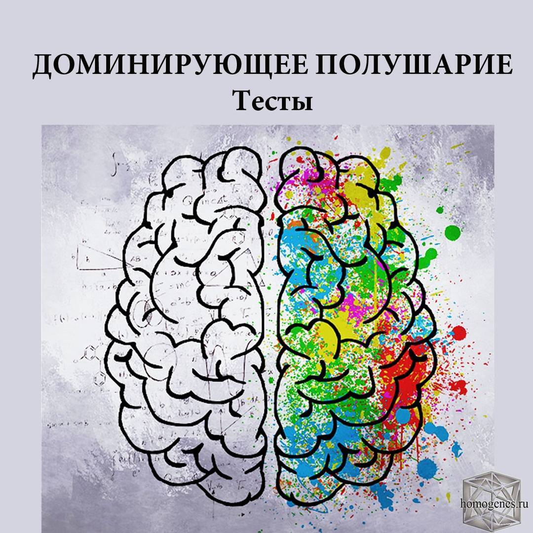 Тест головного полушария. Полушария мозга. Левое полушарие мозга. Правое полушарие. Левое и правое полушарие.