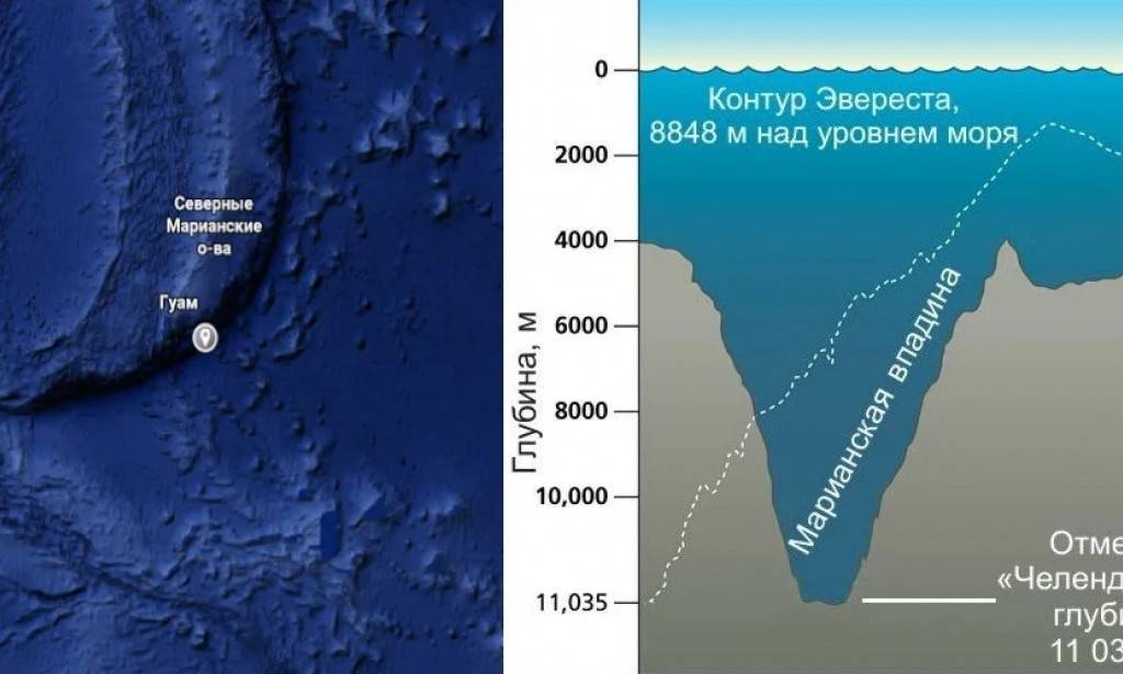 Самое глубокое дно мирового океана: цифровые характеристики, обитатели - tarologiay.ru
