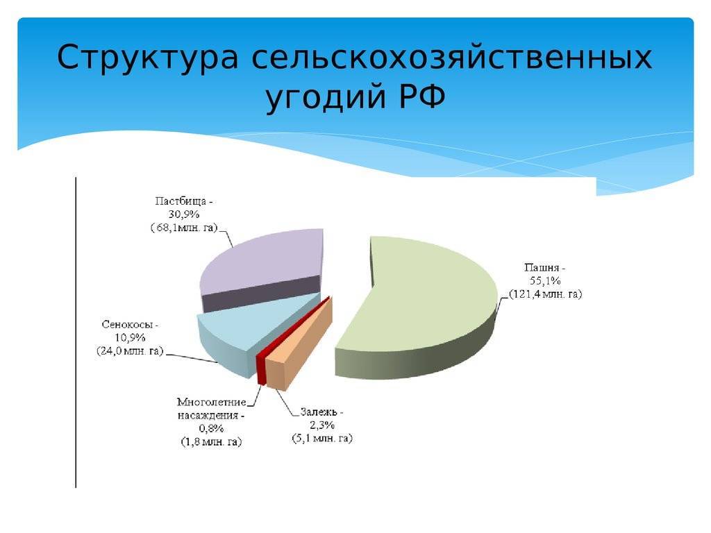 Сельскохозяйственные угодья - это... определение, состав, условия использования :: businessman.ru