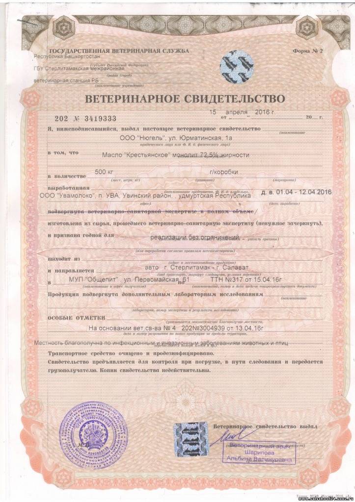 Отличие ветеринарной справки от ветеринарного свидетельства. ветеринарная справка: порядок получения
