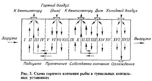 Копчение рыбы как бизнес: коптильня в домашних условиях