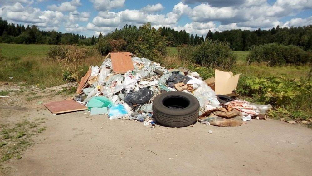 Несанкционированные свалки - ликвидация, требования и образование :: businessman.ru