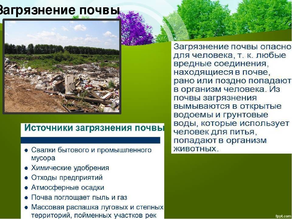 Химическое загрязнение почвы. источники заражения. мероприятия по охране почвы :: businessman.ru