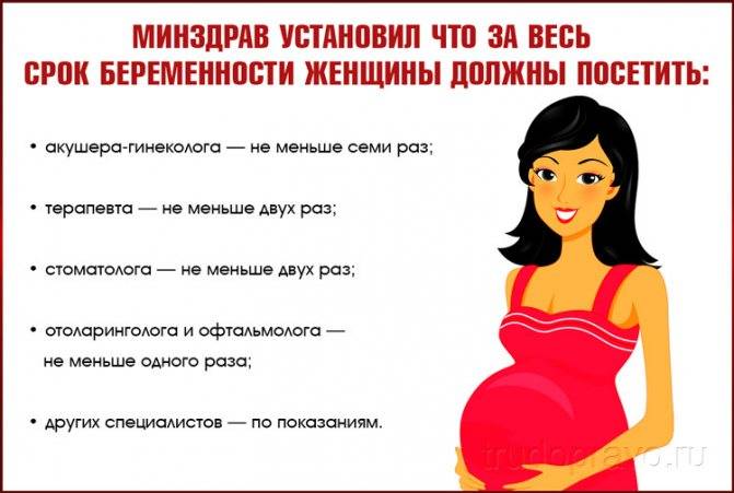 Трудовые и медицинские льготы беременным женщинам, что положено бесплатно