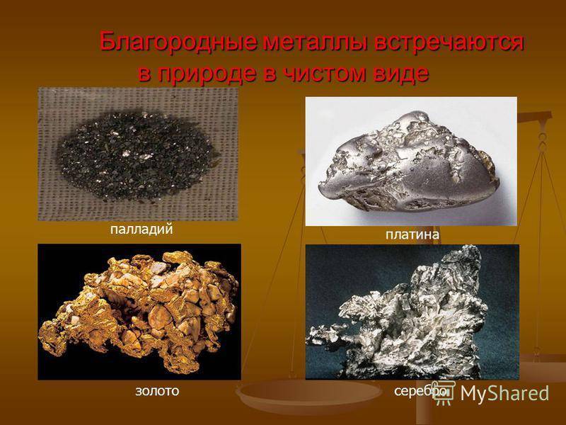 Области применения благородных металлов - «sdaykat»
