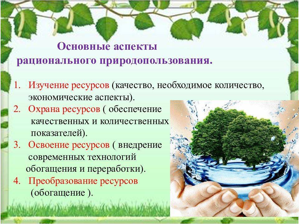Рациональное природопользование: принципы и примеры - tarologiay.ru