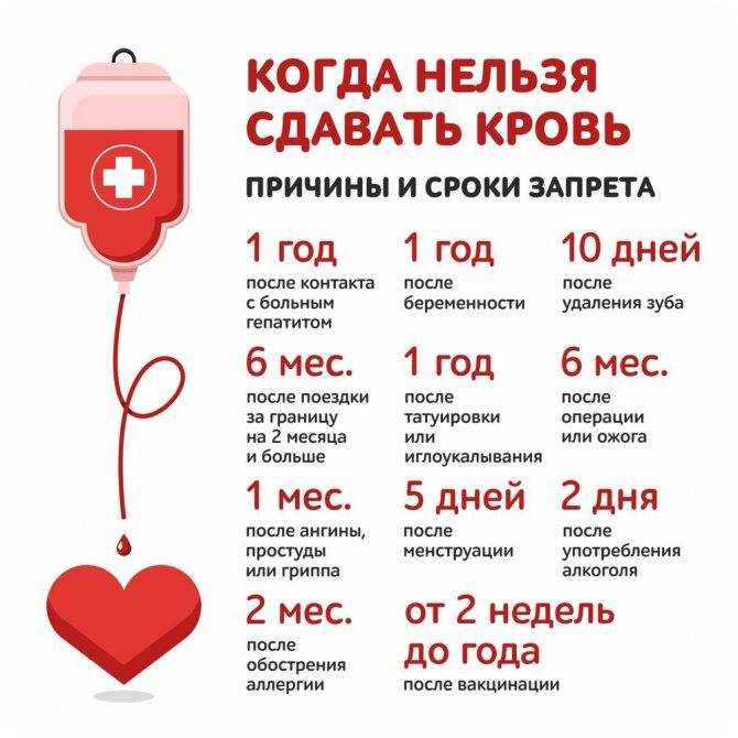 Донорство крови: за и против