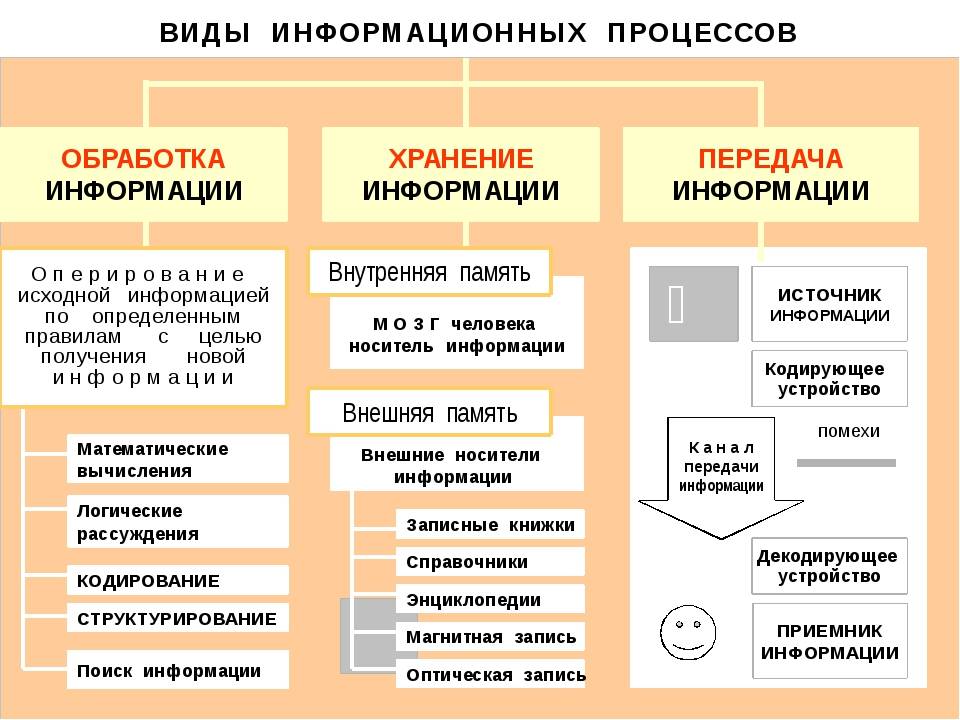 Информация и информационные процессы. основные информационные процессы и их виды :: businessman.ru