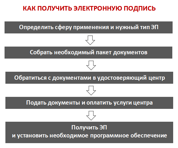 Электронная подпись для юридических лиц: как получить эцп для ооо