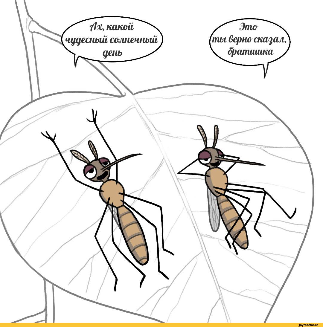 Почему одних людей комары кусают, а других нет?