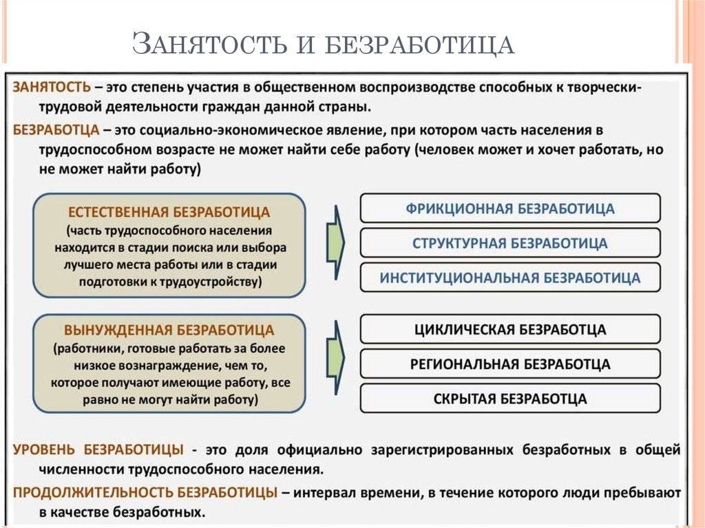 Безработица: понятие, виды, причины и последствия – студмир