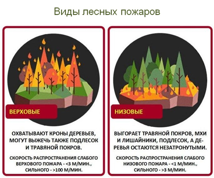 Виды лесных пожаров. Причины природных пожаров. Причины пожара в лесу. Причины возникновения лесных пожаров.