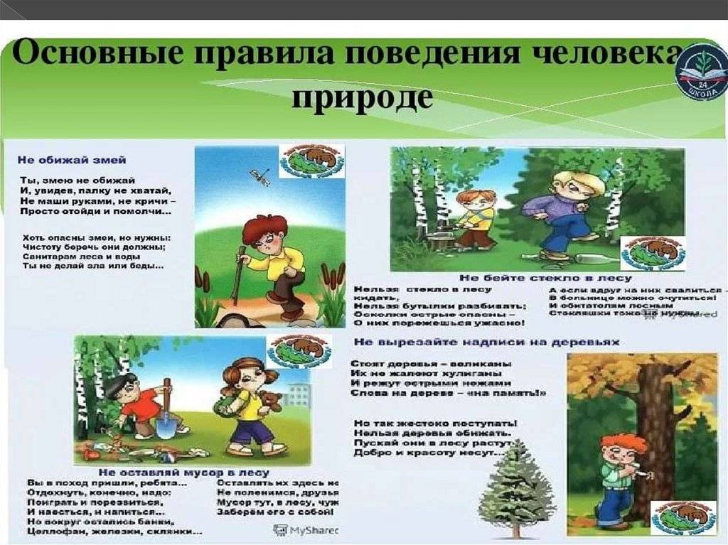 Правила поведения на воде для детей, безопасность в лесу, на природе