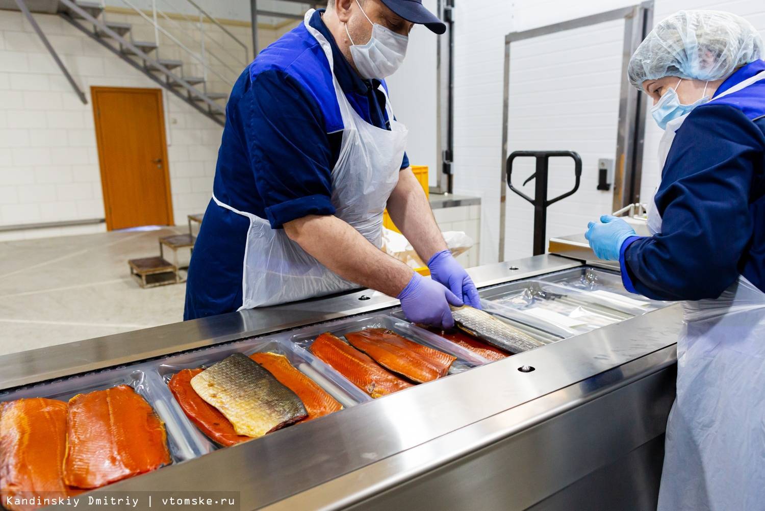 Технология переработки рыбных отходов в рыбную муку - технология производства рыбной муки (оборудование)