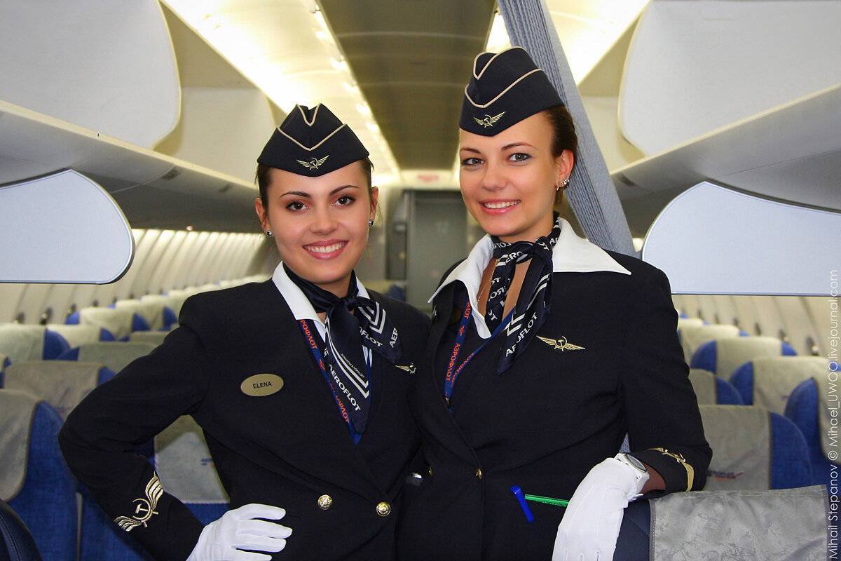 Что нужно чтобы стать стюардессой: курсы бортпроводниц и требования для работы | tvercult.ru