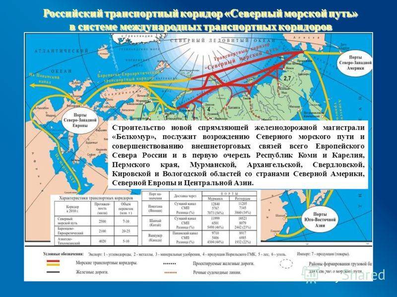 Северный морской путь — русский эксперт