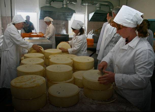 Мини сыроварня как домашний бизнес с нуля в 2022 году – biznesideas.ru