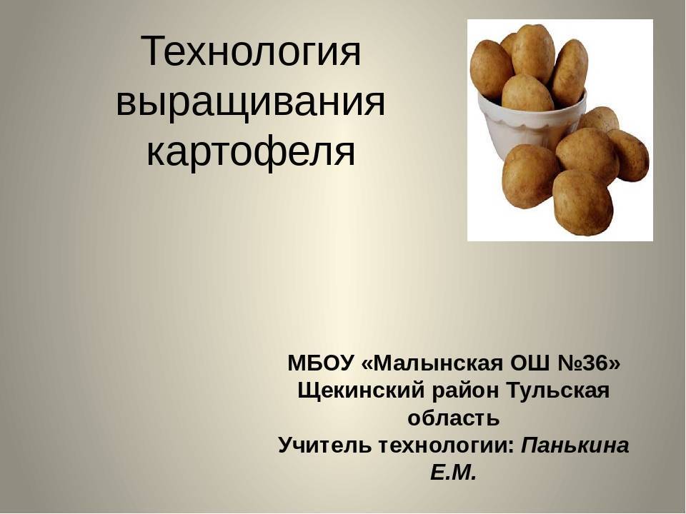 Бизнес план по выращиванию картофеля - пошаговая инструкция