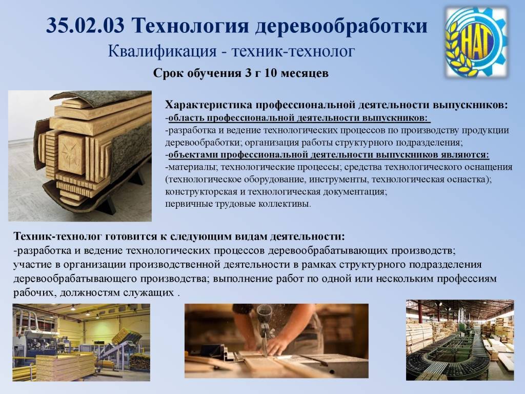 Бизнес на переработке древесины: производство продукции из опилок и других отходов