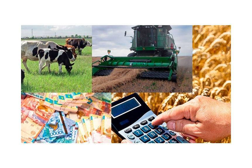 Как открыть крестьянско-фермерское хозяйство в россии с нуля: помощь государства, с чего начать, как получить землю
