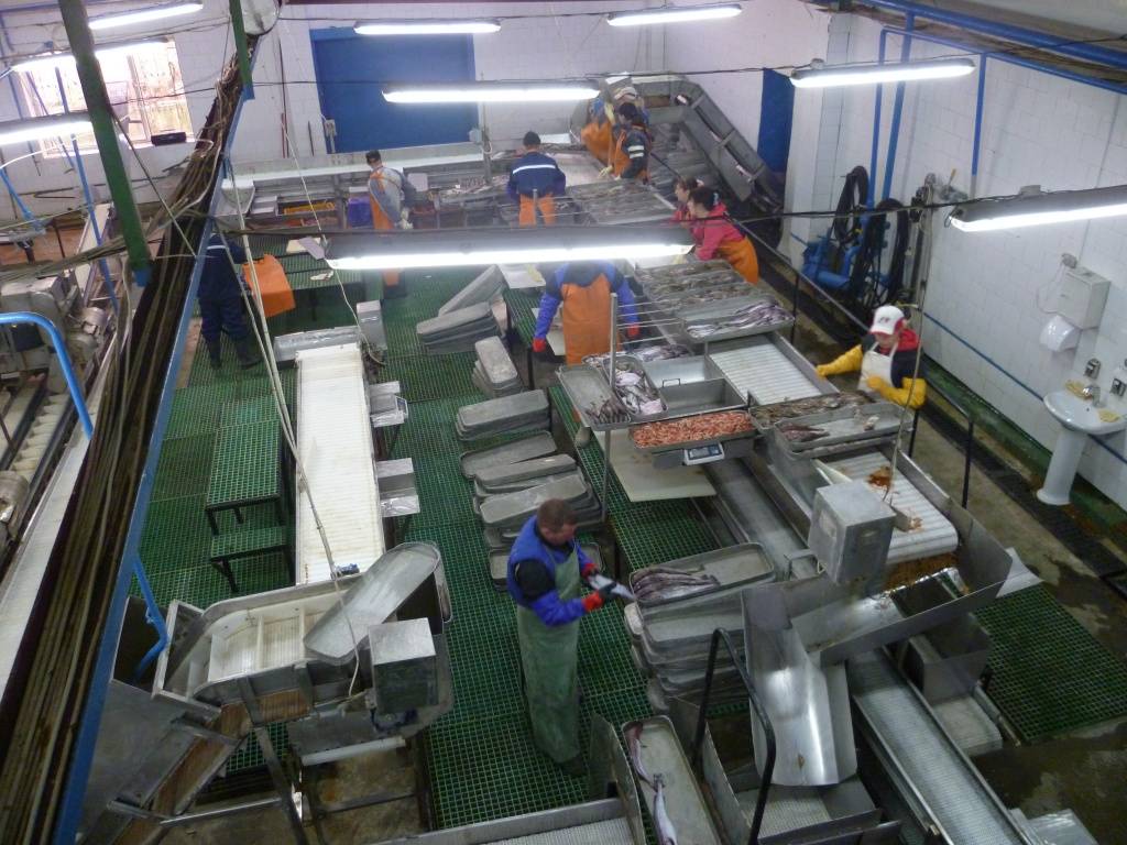 Рыбное производство: технологии, оборудование. рыбный завод