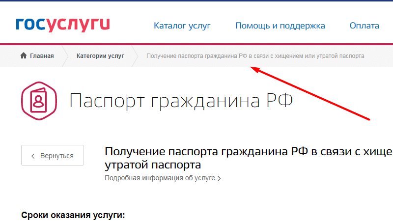 Что делать при потере паспорта рф в 2022 году: восстановление