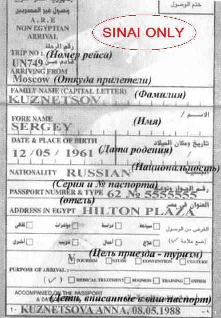 Виза в египет для россиян - 2 способа получить визу!