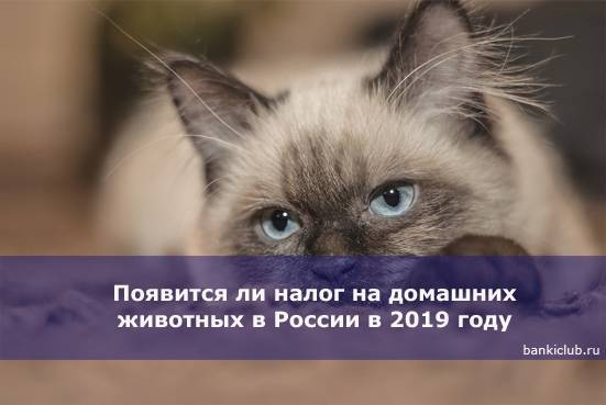 Будет ли введен налог на животных в россии с 1 июля 2021 года