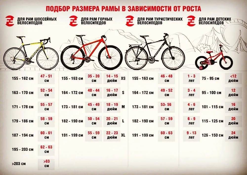 Как подобрать велосипед по росту и весу: таблица для подбора размера