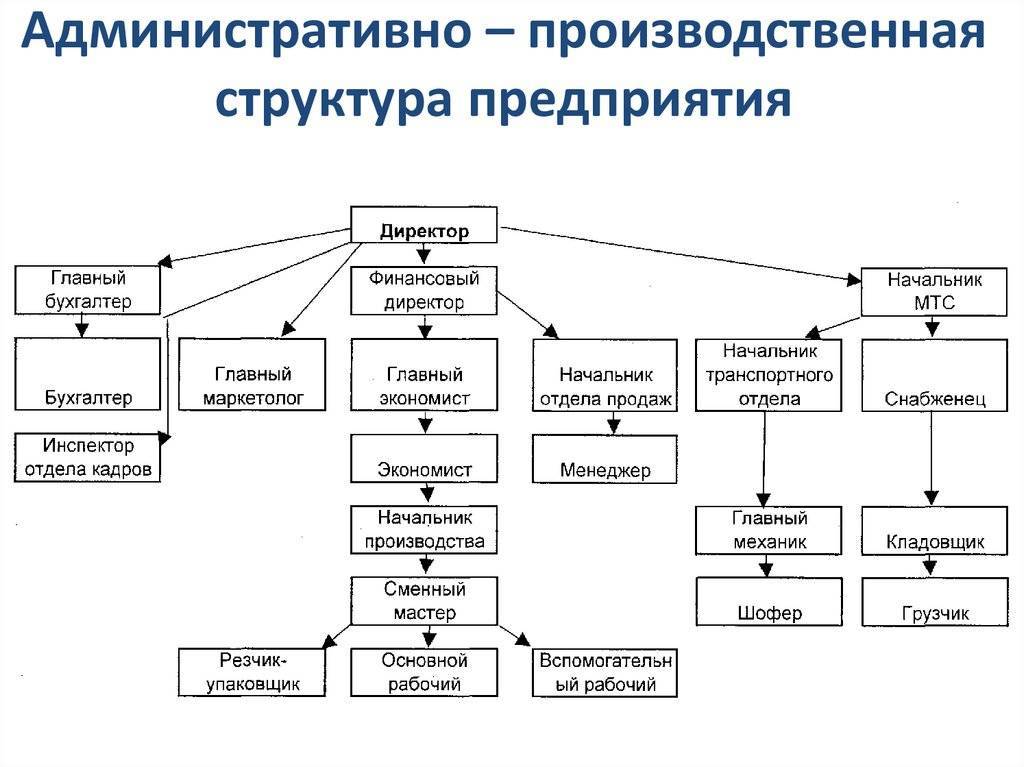 Виды организационной структуры предприятия