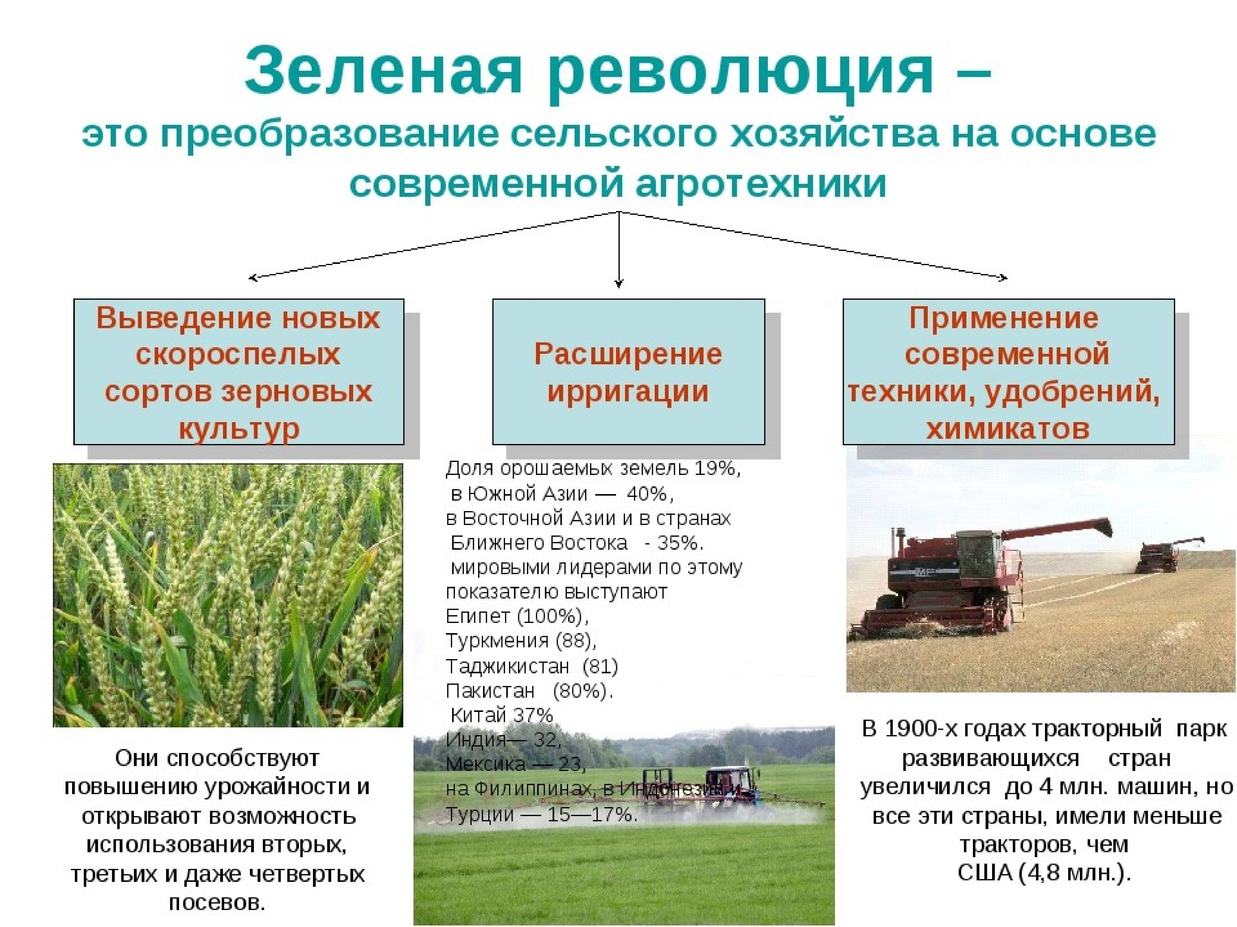 Сельское хозяйство в россии