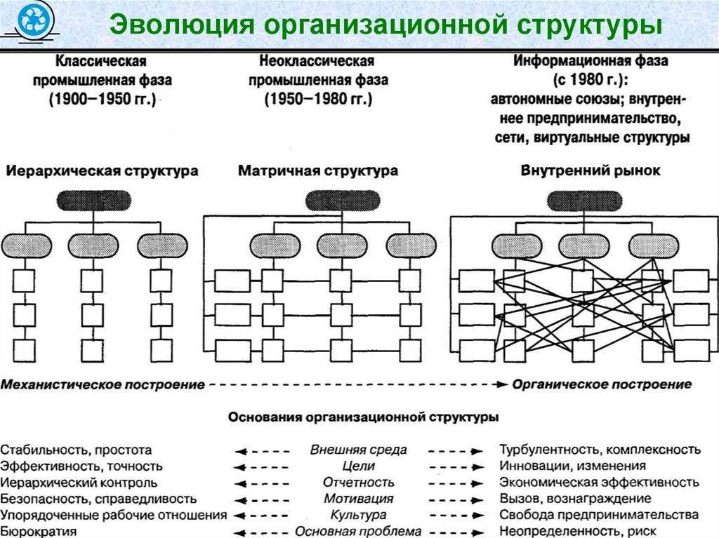 Как выглядит организационная структура управления