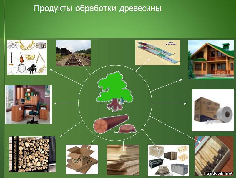 Переработка древесины — технологии и оборудование