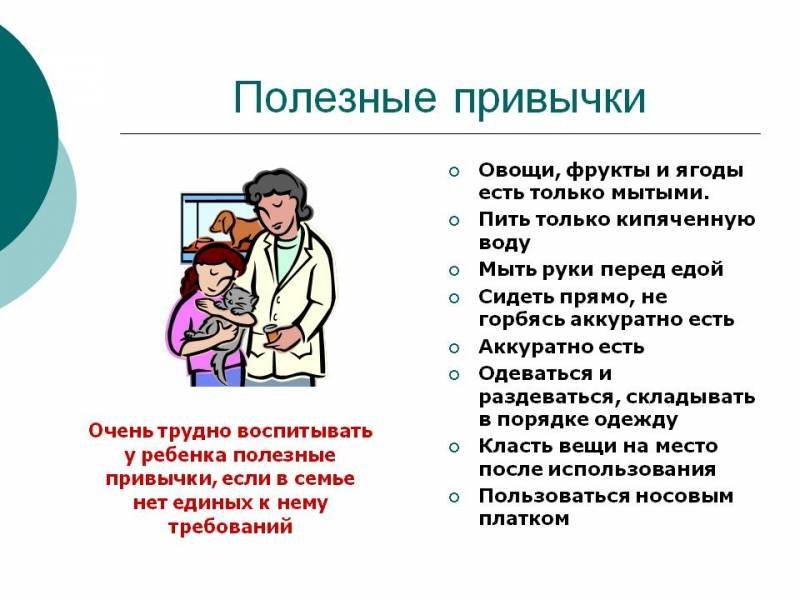 Полезные привычки человека. вредные и полезные привычки :: syl.ru