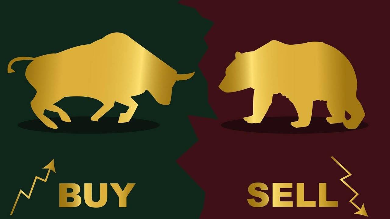 Кто такие быки и медведи на бирже?