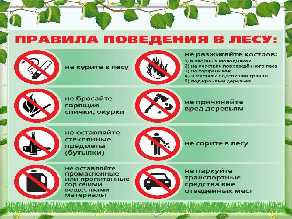 Правила безопасности на природе