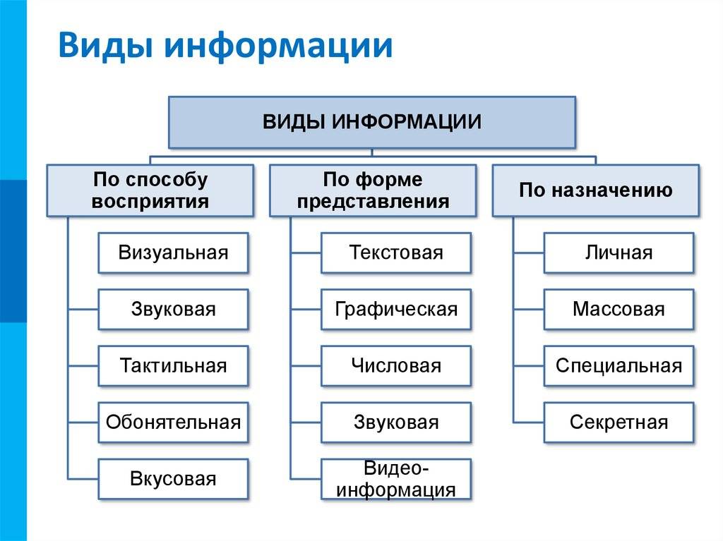 Основные классы понятий. Виды информации по способу восприятия и по способу представления. Информация виды и свойства информации Информатика. Виды информации в информатике 10 класс. Какие есть виды информации.