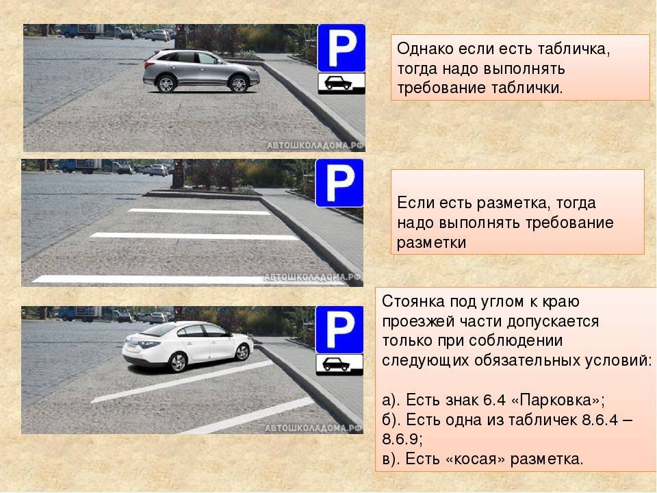 Можно ли останавливаться на остановке общественного транспорта