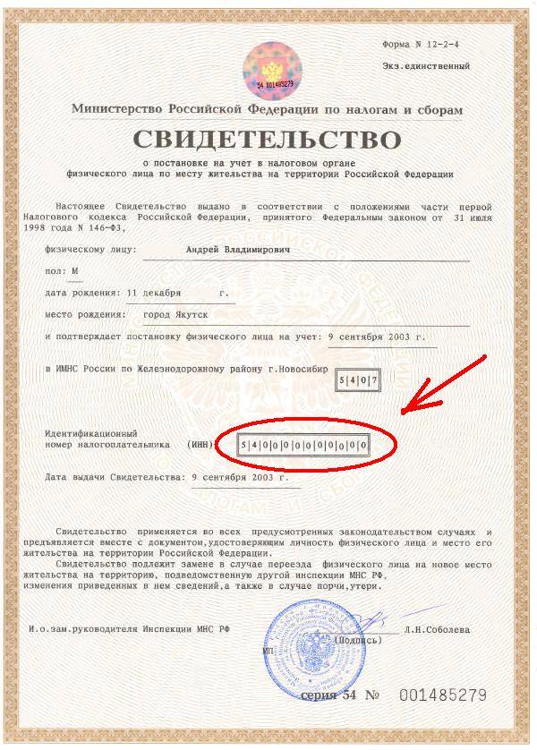 Выписка из егрюл по инн и названию организации