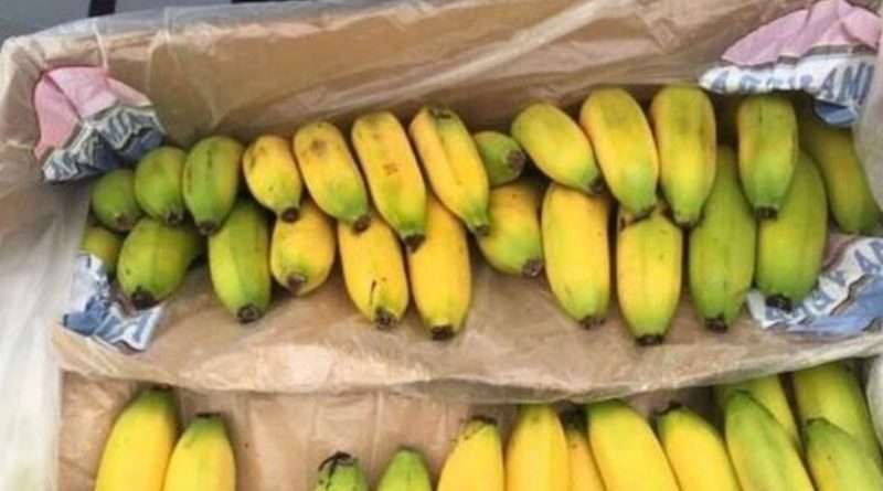 Перевозка бананов рефрижератором. требования к упаковке