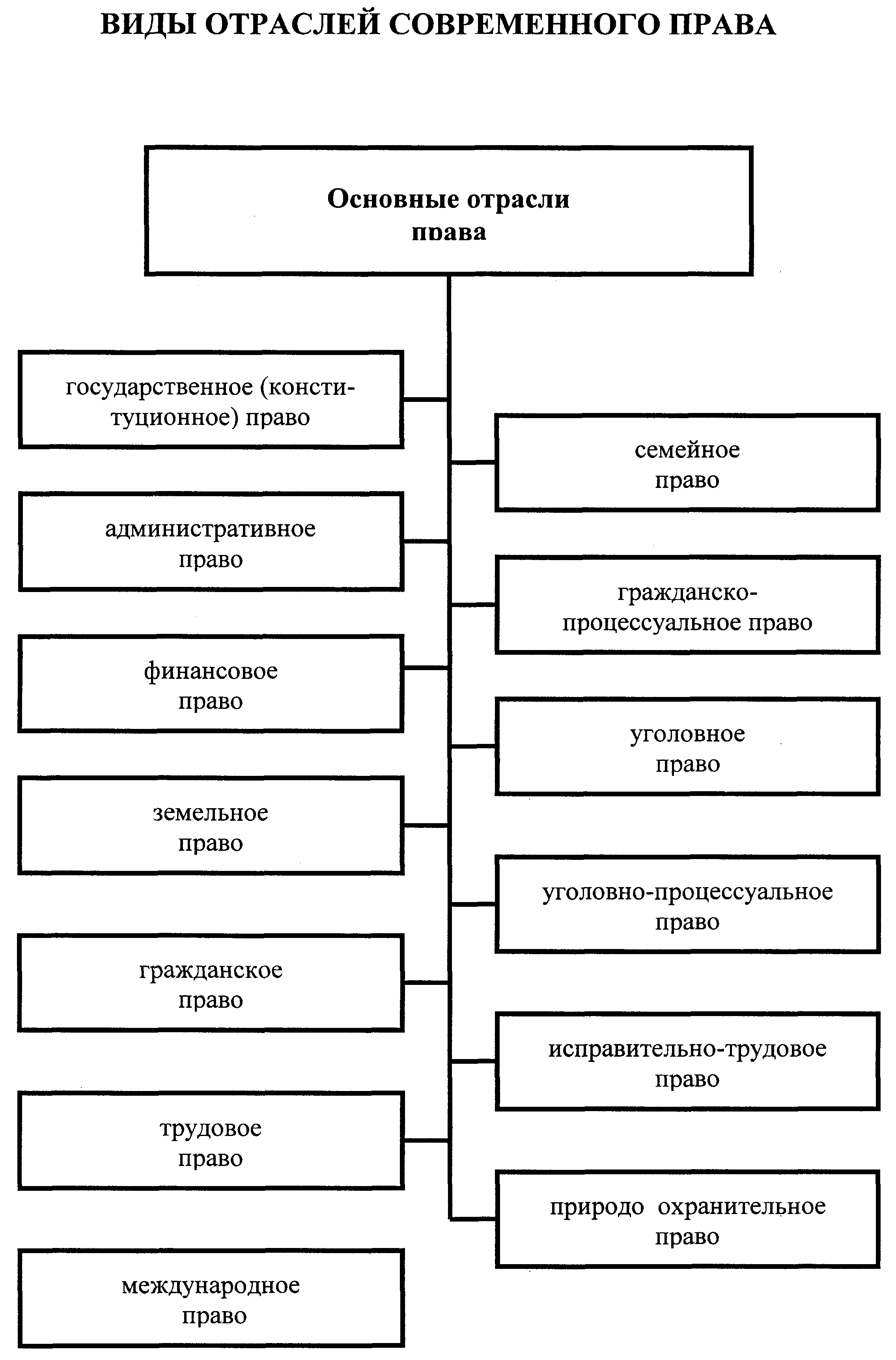 Понятие и особенности отраслей российского права