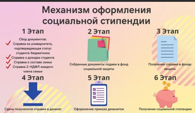 Что такое социальная стипендия: порядок назначения и размер государственной помощи