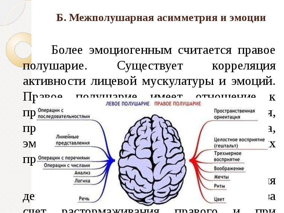 Особенности работы мозга. Функциональная межполушарная асимметрия головного мозга это. Межполушарная асимметрия мозга схема. Межполушарная асимметрия при эхоэнцефалографии. Межполушарная асимметрия и эмоции.