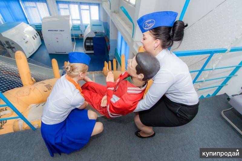 Зарплата стюардессы в россии в 2020 году: какие произошли изменения